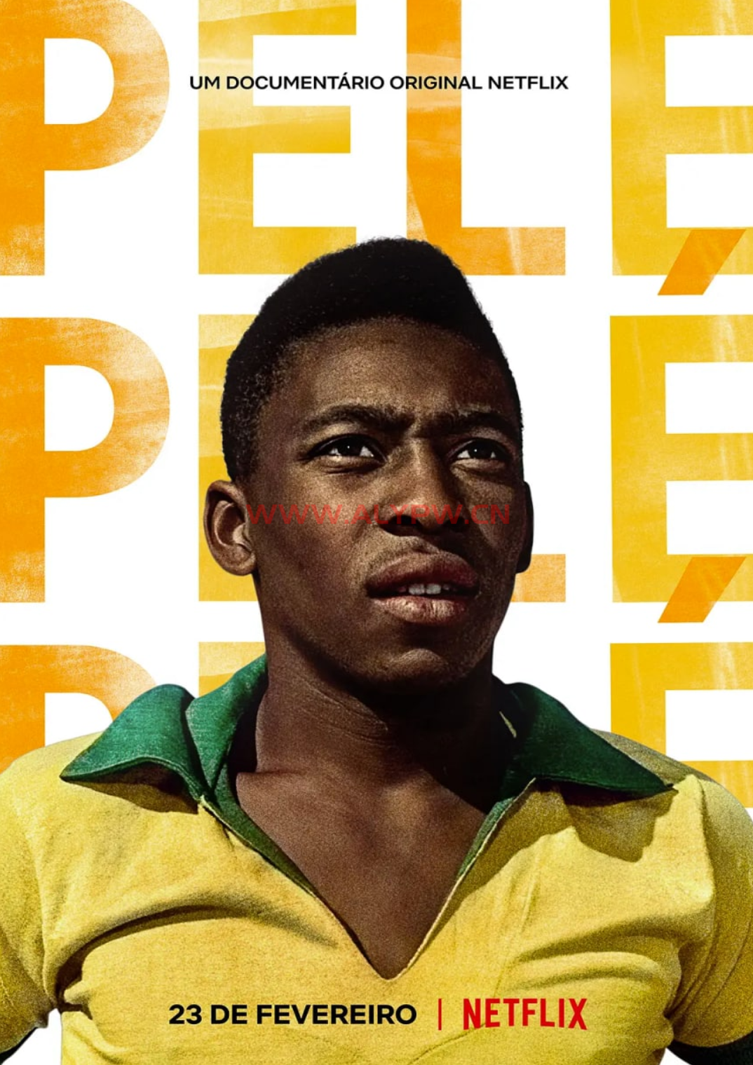 球王贝利：巴西足球传奇 Pelé (2021)+贝利：传奇的诞生（2016）