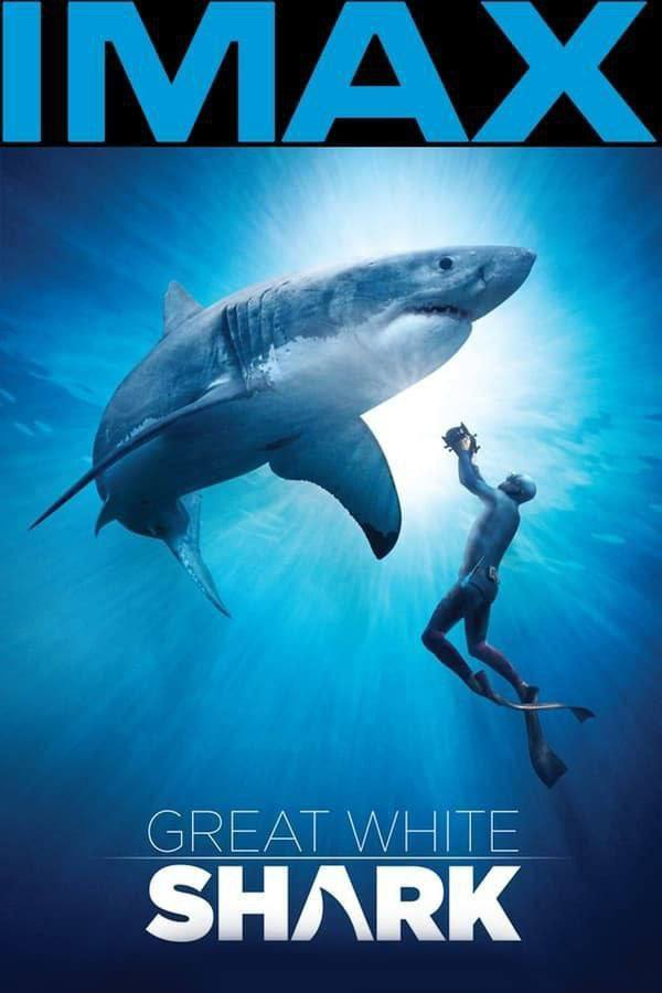 大白鲨 (2013) 4K REMUX(蓝光 原盘) 中字外挂字幕[免费在线观看][免费下载][网盘资源][4K资源]