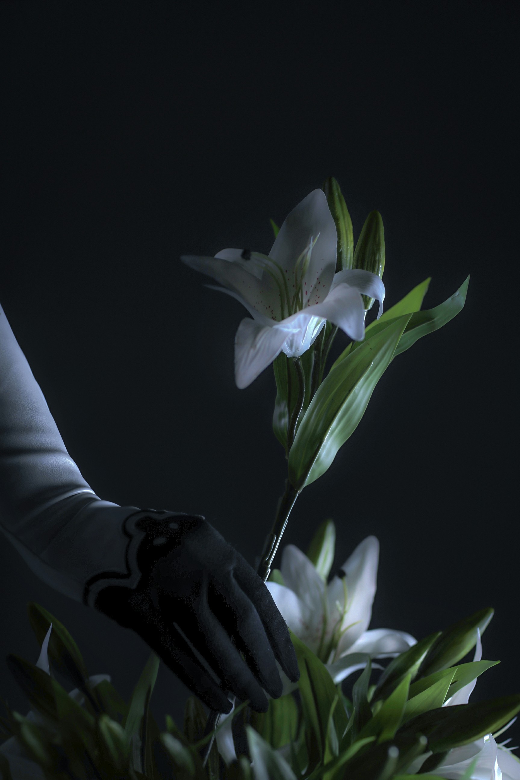 Sayathefox - 2B Floral-2B White Dress-Triss - 蕾姆Merigold 特莉丝(10)