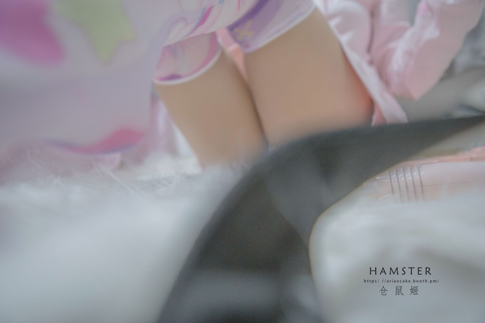 HAMSTERS 仓鼠姬 - NO.004 VOL.01 居家女友 [31P2V-138MB](22).jpg