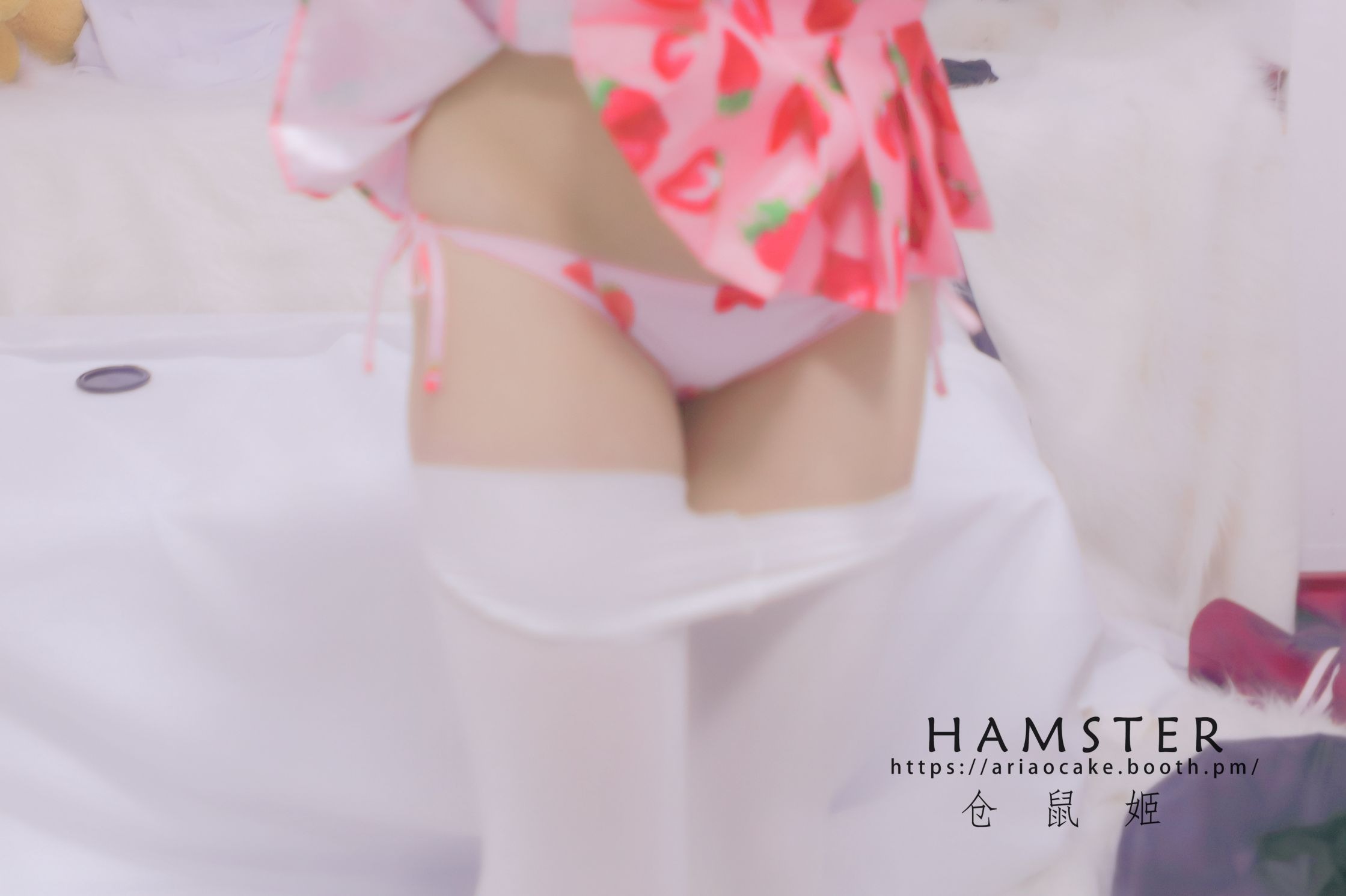 HAMSTERS 仓鼠姬 - NO.005 VOL.02 居家女友2 [34P-38MB](2).jpg