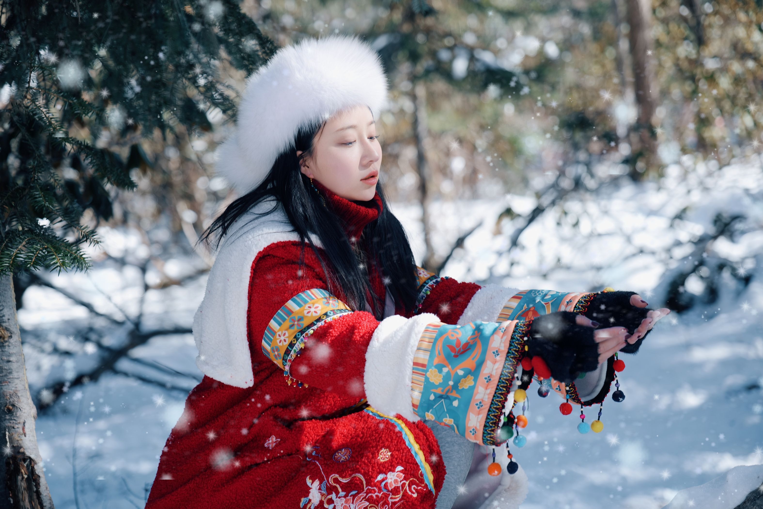 年年 吉祥雪兆丰年(21)