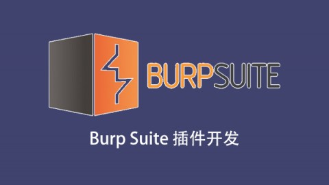 Burp插件开发 视频教程价值299元