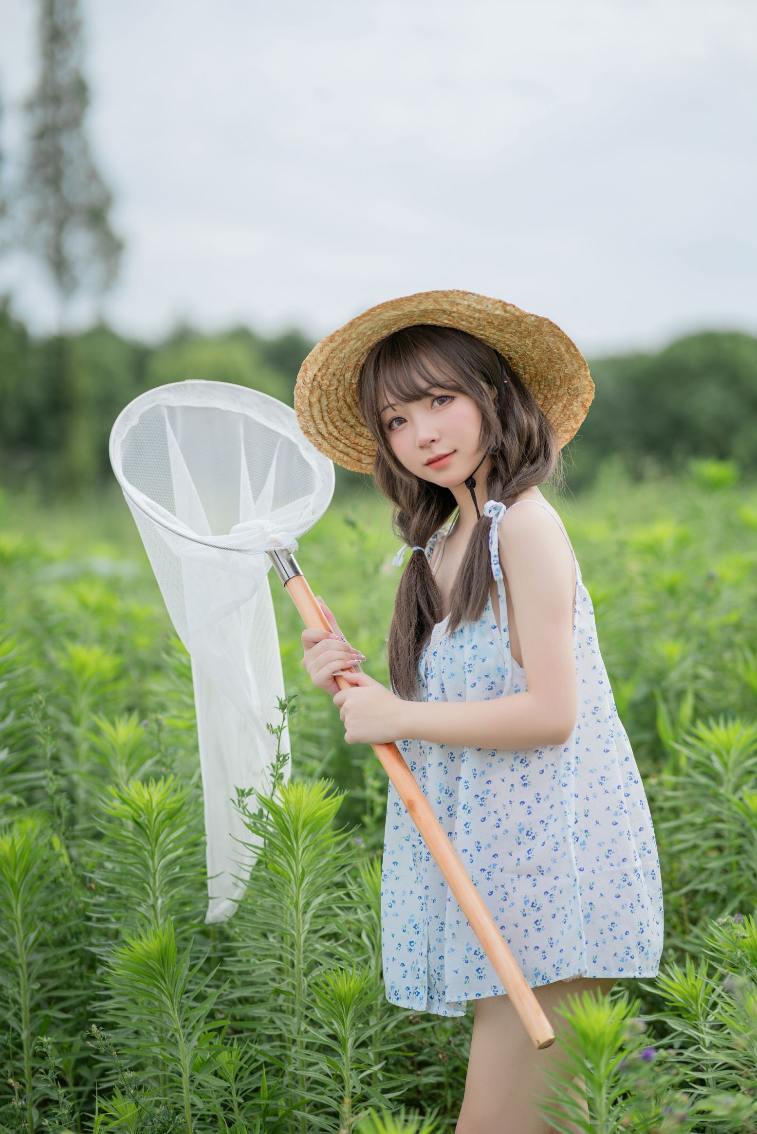 花铃 田野(5)