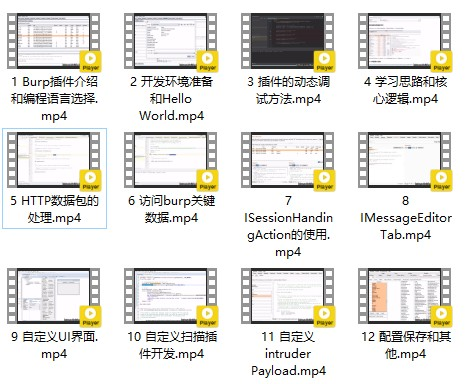 图片[1]-Burp插件开发 视频教程价值299元